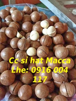 Cc sỉ hạt Macca giá rẻ giao toàn quốc Lhe 0916004117