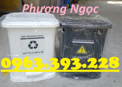 Thùng rác y tế đạp chân, thùng đựng rác thải bệnh viện, thùng rác nhựa HDPE