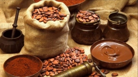 Bột cacao Nguyên Chất 100% Giao Toàn Quốc.