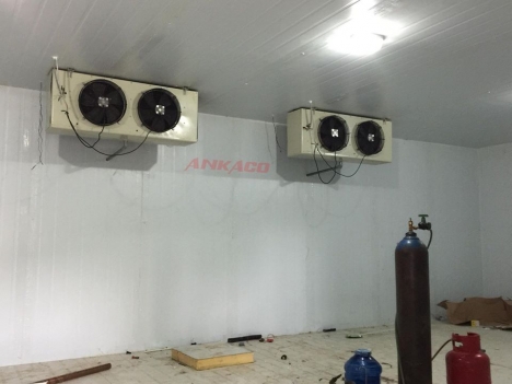 ANKACO-Thi công, lắp đặt  kho lạnh trữ sầu riêng Công ty Gia Nguyễn tại Đăk Lăk