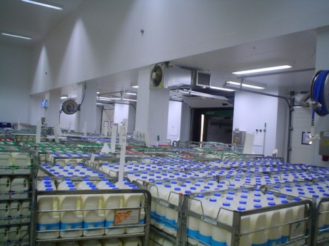 Thi công  kho lạnh bảo quản sữa tươi tại Cần Thơ