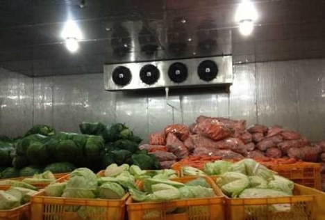 ANKACO-Lắp đặt kho lạnh bảo quản rau quả cung cấp cho chợ, siêu thị