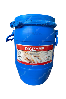 DIGIZYME - Enzyme tăng trọng, hỗ trợ tiêu hóa, kích thích nở to đường ruột tôm