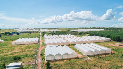 Đất nông nghiệp Bình Thuận giá rẻ chỉ từ 50 ngàn / m2