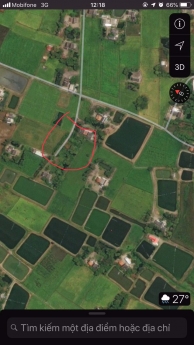 Cần Bán 930 m2 đất TCLN- Ấp Trung ,Xã Đông Thạnh, Cần Giuộc, Long An giá 1,6 tỷ