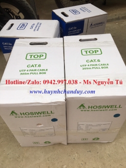 Cáp mạng Hosiwell Cat.6 F/UTP kháng nước, chống nhiễu - P/N: 30026-BK-AQ