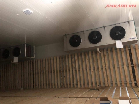 Tại ANKACO cung cấp kho đông lạnh thực phẩm, lắp đặt kho lạnh bảo quản trọn gói