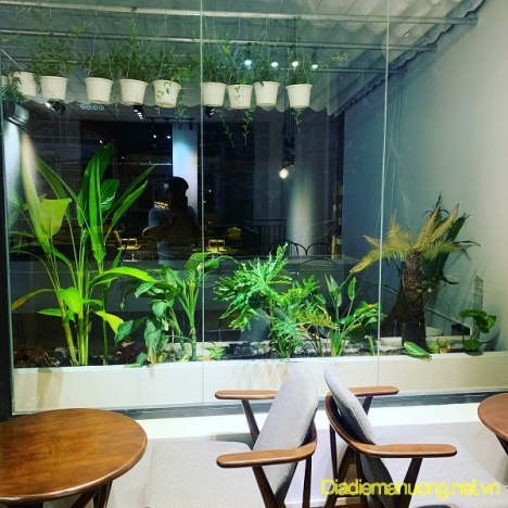 Quán Trà, Cafe Văn Phòng Quận Tân Phú