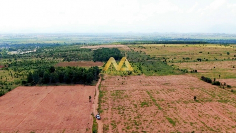 Đất nông nghiệp Bình Thuận có sổ đỏ, chỉ 50 ngàn /m2