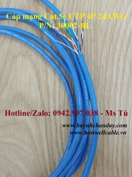 Cáp mạng Cat.5e (UTP, FTP, SFTP, Patch Cable), 305m/cuộn - Hosiwell Cable