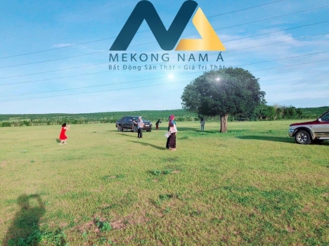 Đất nông nghiệp Bình Thuận giá chỉ 50 ngàn / m2 , cam kết ra hàng 100% lợi nhuận