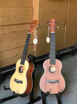 Đàn ukulele concert giá tốt