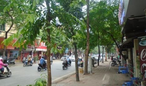 Bán nhà mặt phố Thái Thịnh,Hiếm,500m2, KD vô địch, hiệu suất cho thuê cao, 125 tỷ. lh:0969143618
