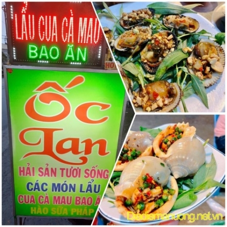 Ốc Lan - Hàu Sữa, Cua Cà Mau Không Dây