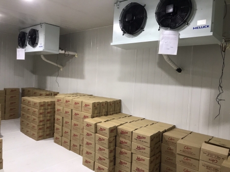 Di dời, tháo lắp kho lạnh trữ kem phân phối cho đại lý tại TP.HCM