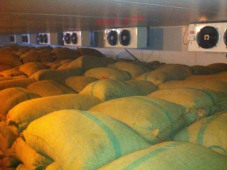 Báo giá lắp đặt kho đông, kho lạnh trữ nông sản ở Buôn Mê Thuột, Daklak, 094745947