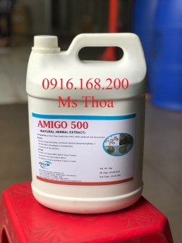 AMIGO 500 - Thảo dược trị ký sinh trùng, diệt nấm trên tôm cá