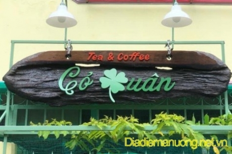 Quán Cafe Cổ Xưa Yên Tĩnh Tân Phú