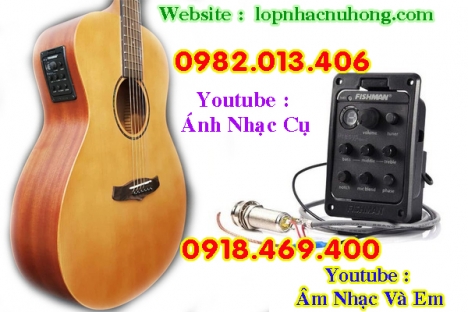 EQ Guitar - Pickup Acoustic & Classic Guitar chính hãng