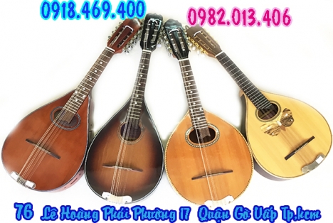 Cửa hàng bán đàn mandolin gỗ chất lượng uy tín gò vấp