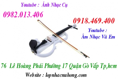 Đàn violin điện tử tại Tp.Hồ Chí Minh