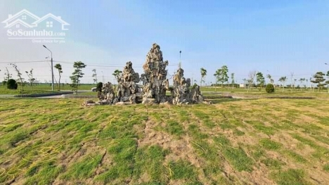 Mua bán đất đấu gía Trái Diêm III, huyện Tiền Hải, tỉnh Thái Bình giá rẻ.