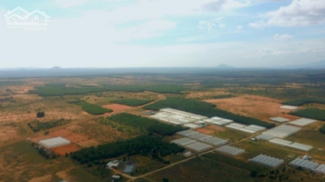 Cần bán đất Bình Thuận giá từ 70k/m2. Xem đất trực tiếp công chứng tại Tp HCM.