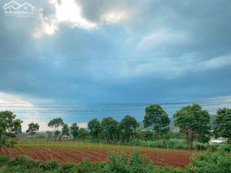 Bán 10m đất mặt tiền Bồng Lai- Lâm Đồng gần sân bay Liên Khương giá 2,6 tỷ