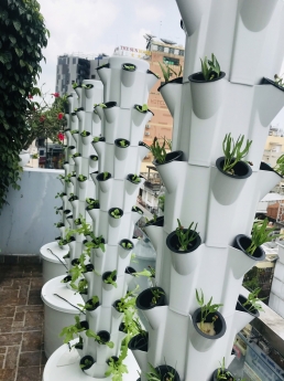 Trụ trồng rau Thủy Canh Bio - 50 hốc trồng rau, giữ nước và chống cúp điện phiên bản 2021