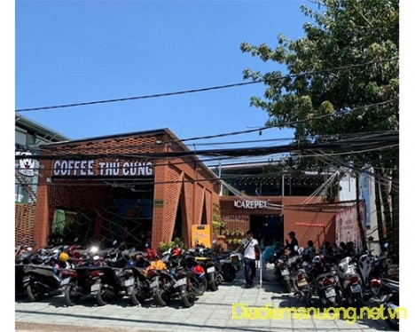 Quán Cafe Thú Cưng Gò Vấp, Dịch Vụ Chăm Sóc Thú Cưng Gò Vấp