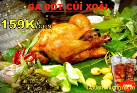 Gà Đốt Củi Xoài Món Ngon Mới Lạ