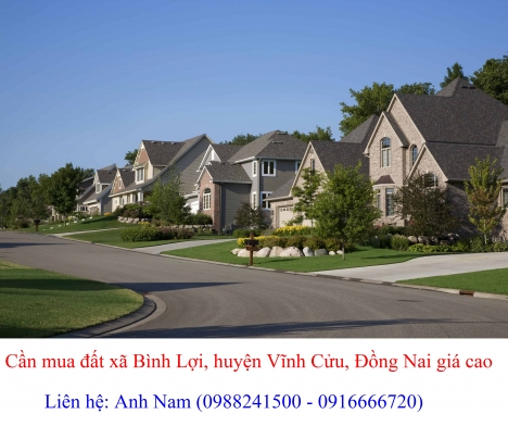 Cần mua nhà đất Bình Lợi Vĩnh Cửu, Đồng Nai giá cao, mua chính chủ, thiện chí mua, chịu phí