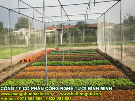 Lưới chắn côn trùng israel politiv, lưới chắn côn trùng UV, báo giá lưới chắn côn trùng tại Hà Nội