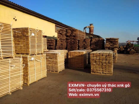EXIMVN- chuyên ủy thác xnk gỗ rừng tự nhiên