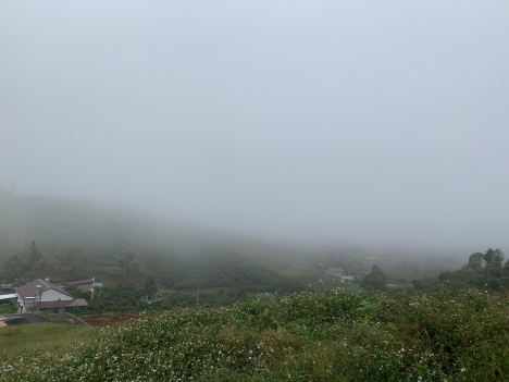 Bán lô đất 6x33m, 85% thổ cư, ngay khu dân cư Bảo Lộc, SHR, View đồi săn mây đón gió