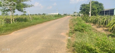 Đất tặng nhà cấp 4-Hàm Minh-Hàm Thuận nam-DT 9.283m2-Có 300m2TC-Gần Quốc lộ 1A