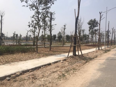 Đất nền Thanh Lâm, mặt đường QL23B, dự án Hud Mê Linh