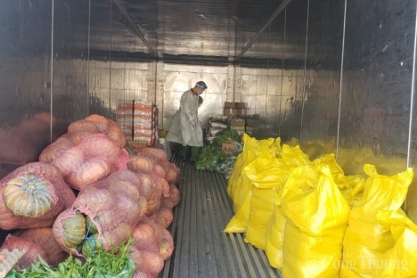 container dùng bảo quản rau củ quả xanh tươi