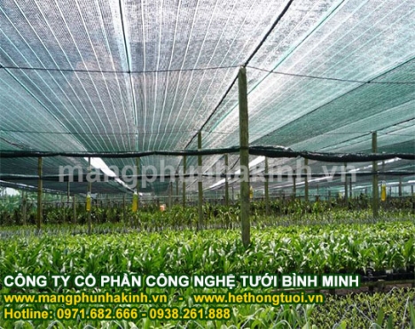 Lưới che nắng chất lượng cao thái lan, lưới che nắng bình minh,lưới che nắng nông nghiệp