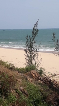 Đất vườn, ven biển Bình Thuận chỉ từ 80.000/m2