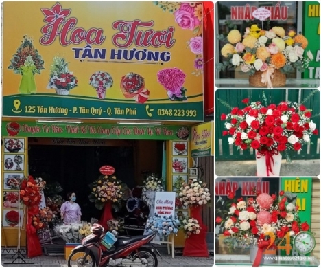 Cửa Hoàng Hoa Tươi Đẹp ở Tân Phú