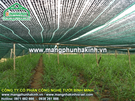 Bình Minh cung cấp lưới che nắng Thái Lan,lưới che nắng Thái Lan tại Việt Nam,lưới che nắng Thái Lan