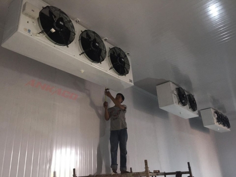 sửa chữa kho lạnh bảo quản bưởi giá tốt tại Tiền Giang