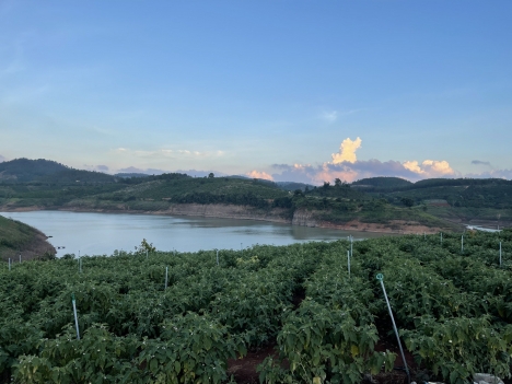 Đất view siêu đẹp ven sông Đa Nhim - Đức Trọng, ven Đà Lạt, Lâm Hà , Lâm Đồng