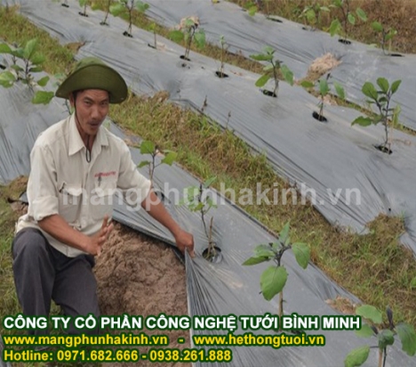 Bình Minh sản xuất màng phủ nông nghiệp,thông tin chung và lợi ích của màng phủ nông nghiệp