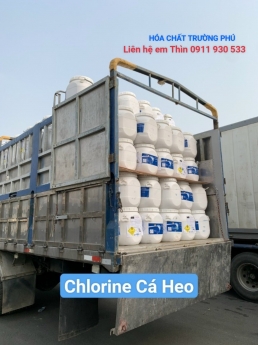 Chlorine Cá Heo 70% - Đơn vị cung cấp hóa chất Uy tín