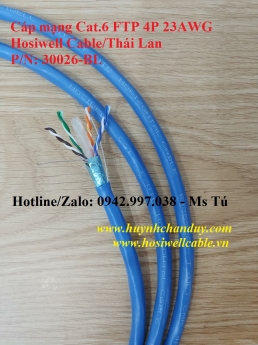 Cáp mạng LAN chống nhiễu Hosiwell Cat.6 FTP 4 Pairx23AWG (30026-BL)