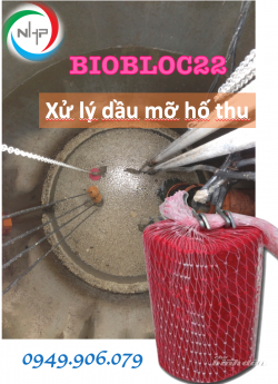 Biobloc22 men vi sinh xử lý dầu mỡ trong bẫy mỡ, hố thu, hố gom cho nhà hàng khách sạn