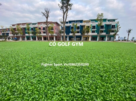 Cỏ Golf Gym Hà Nội