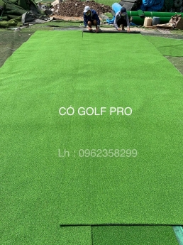 Cỏ Golf Gym Hà Nội